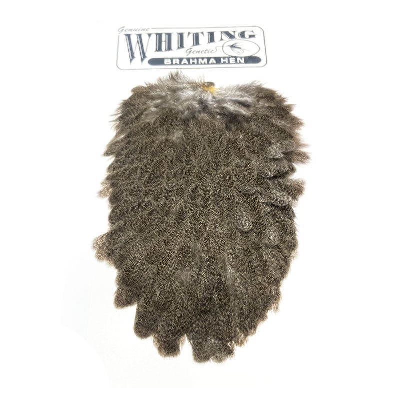 whiting-brahma-hen-saddle-96.png