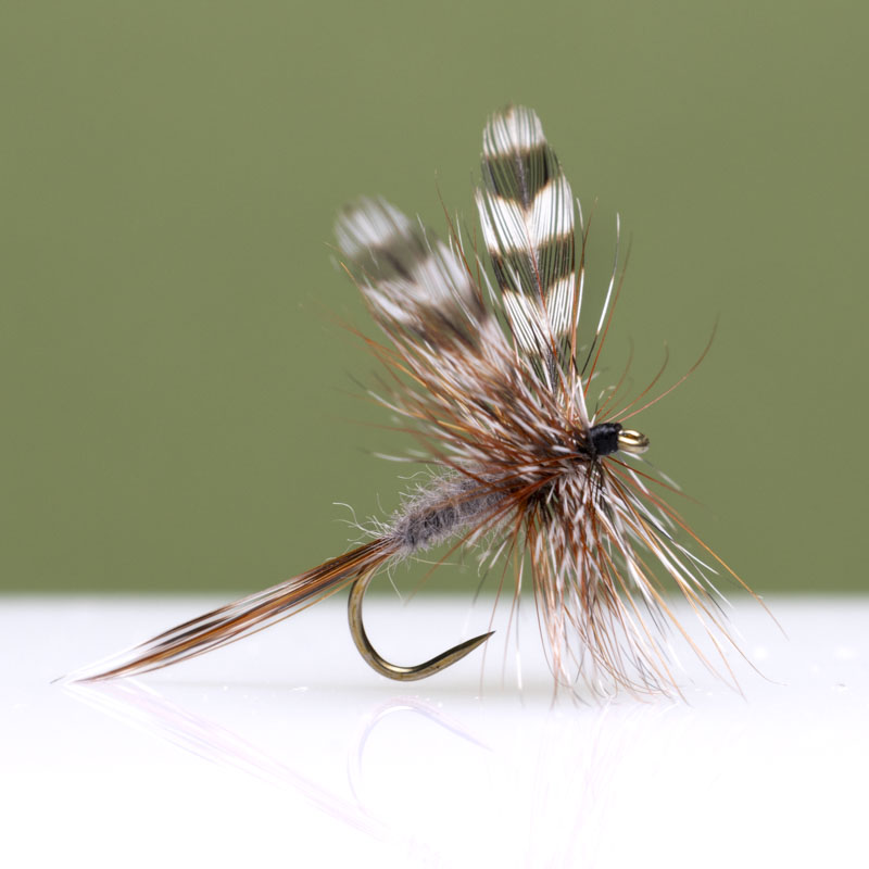 GR Adams Dry Fly | 54 Dean Street Fly Shop
