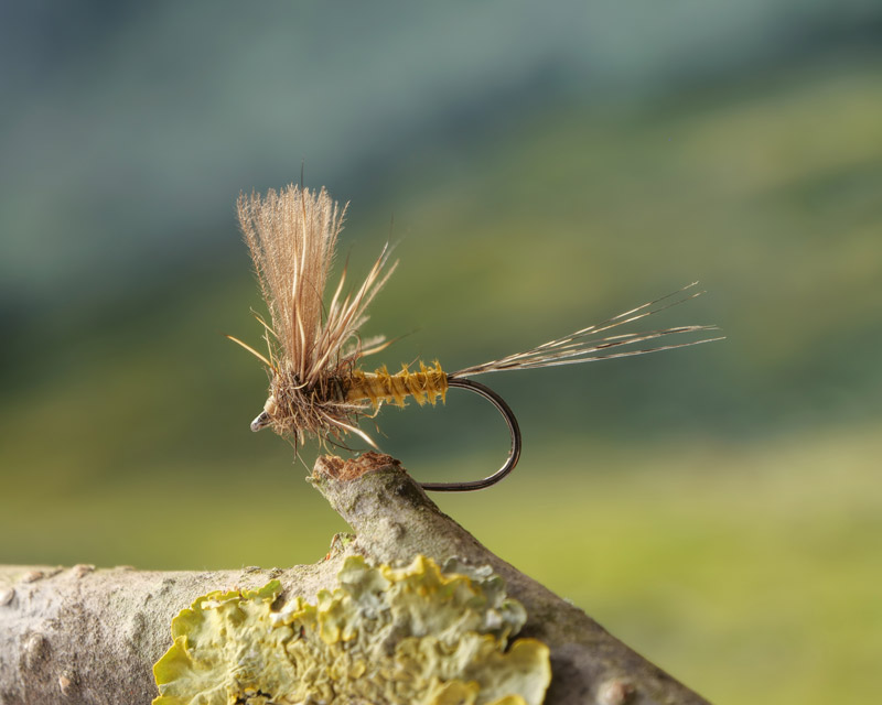 54 Dean Street Fly Shop