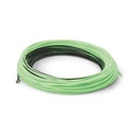 Cortland Coda 444 Sink Tip Type 6
