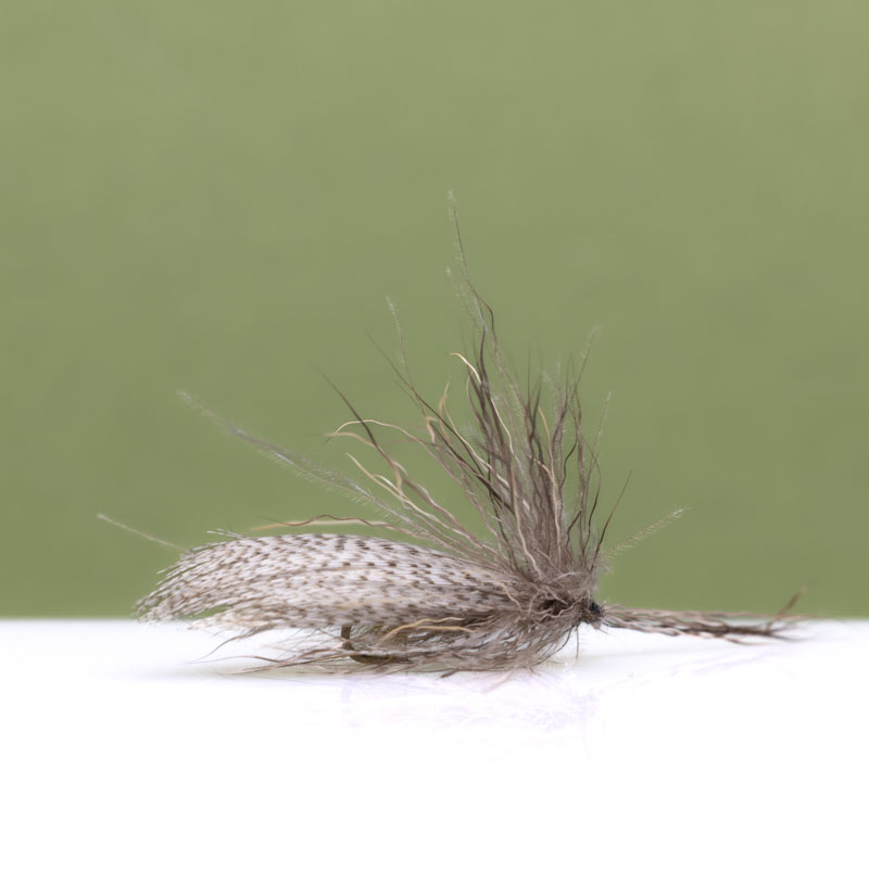 GR Sedge Dry Fly