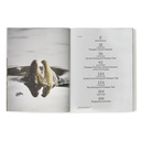 Pheasant Tail Simplicity