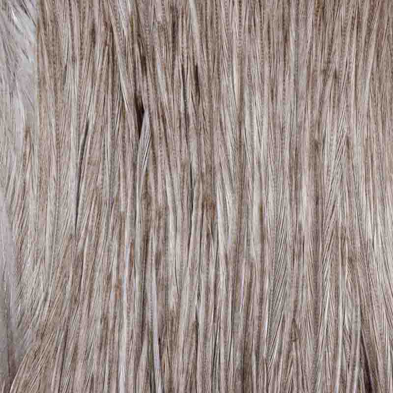 Root River Cape Light Blue Dunn 2nd Grade