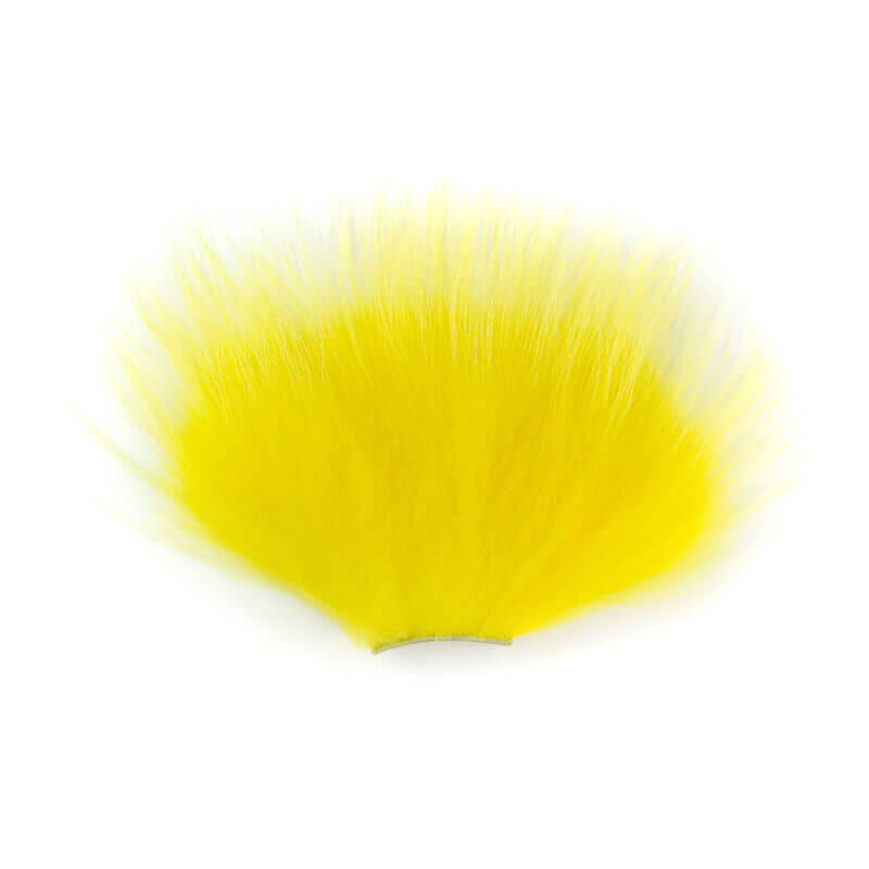 Finnraccoon Artico Patch