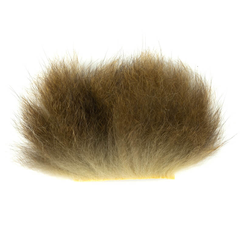 Opossum Australiano Pezza