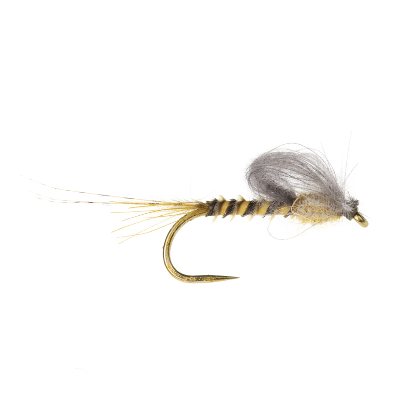 Biot Captive Dun Brown Olive