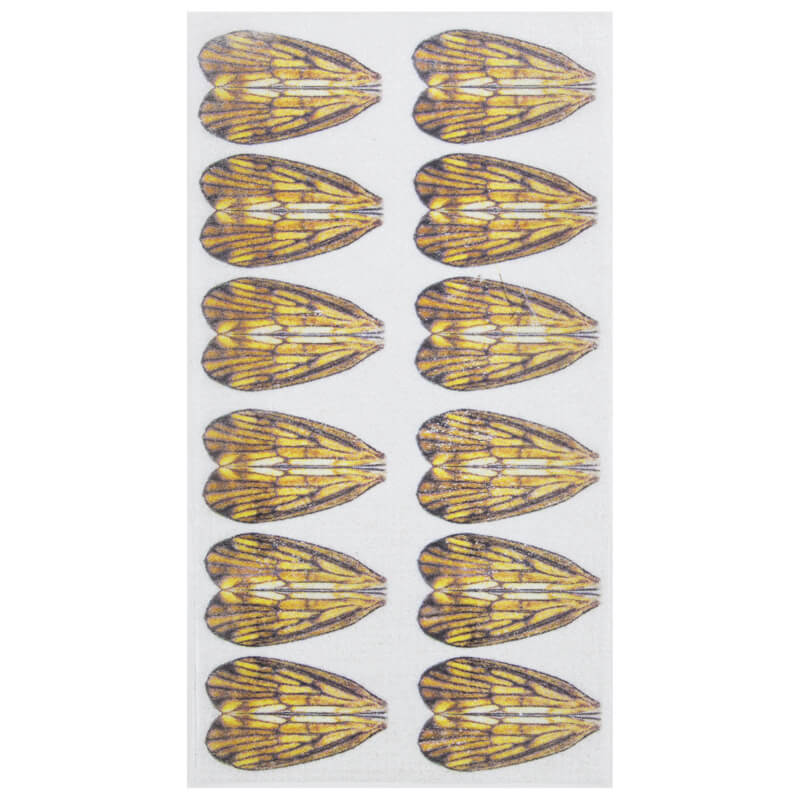 Celeschi Realistic Wings Caddis