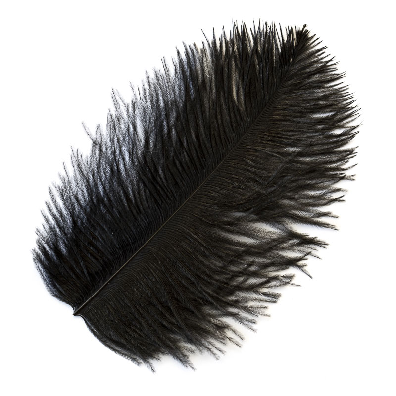 Contiflies Ostrich Feathers