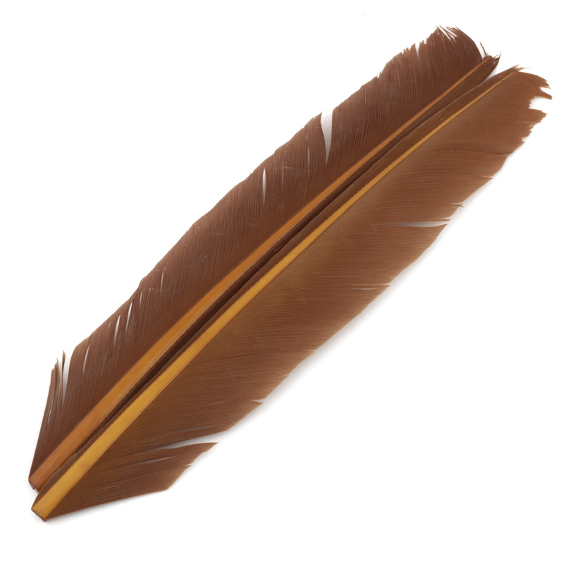 Contiflies Tacchino Biot Quill