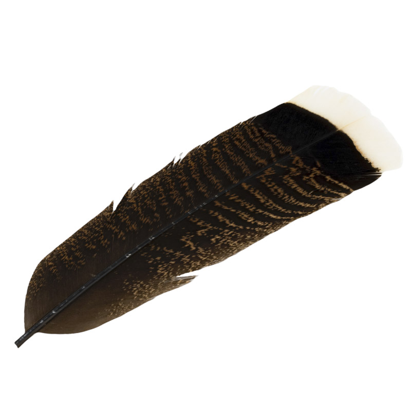 Contiflies Coda di Tacchino White Tipped