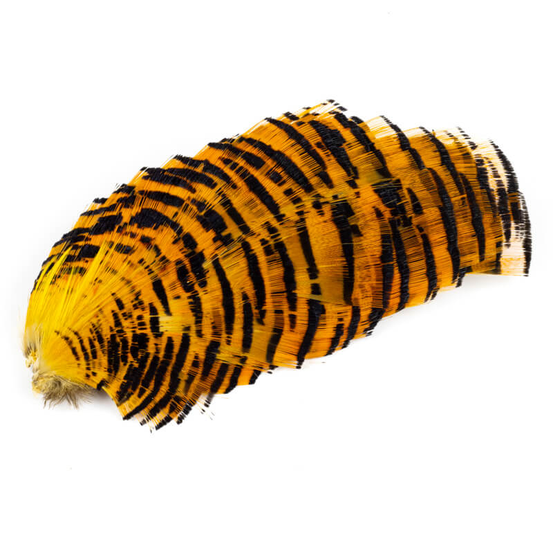 Golden Pheasant Tippet Collars