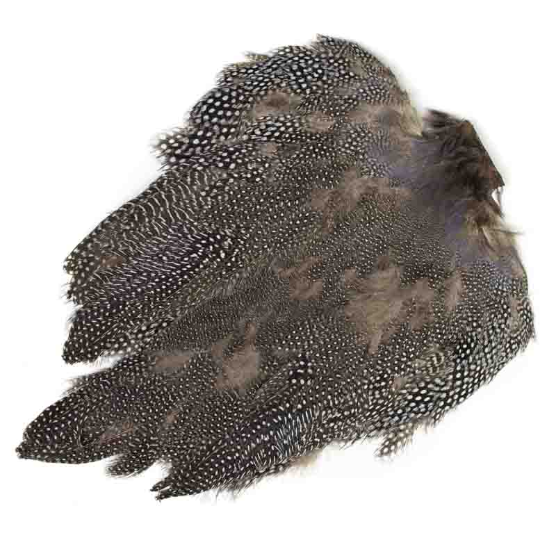 Guinea Fowl Full Skin