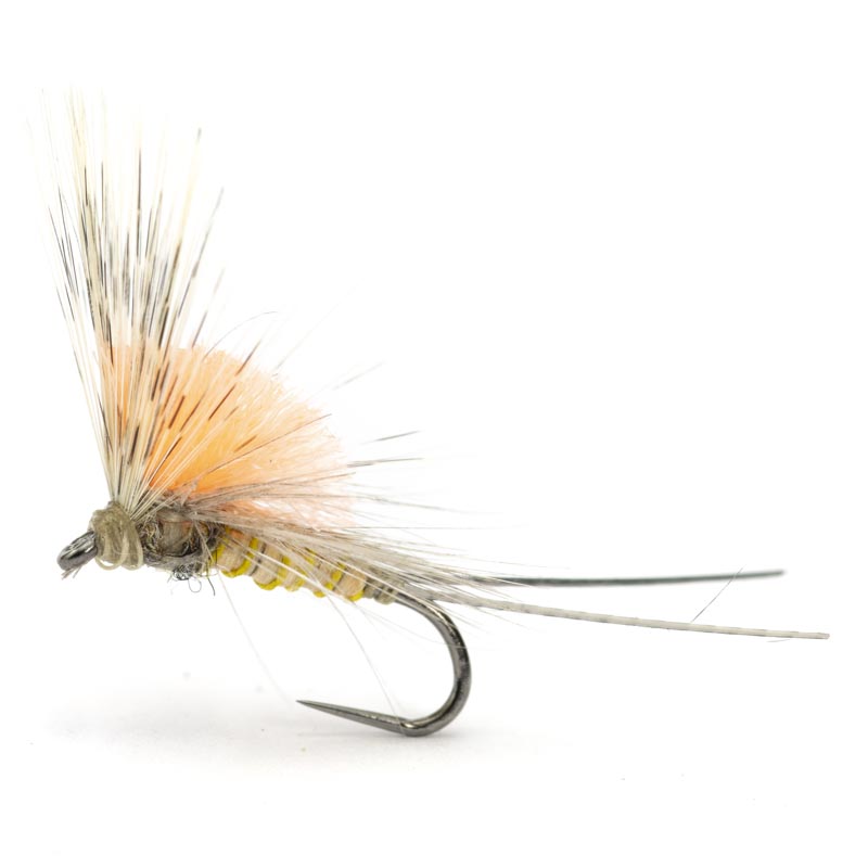 Luis Meana Fly PM14GACFL