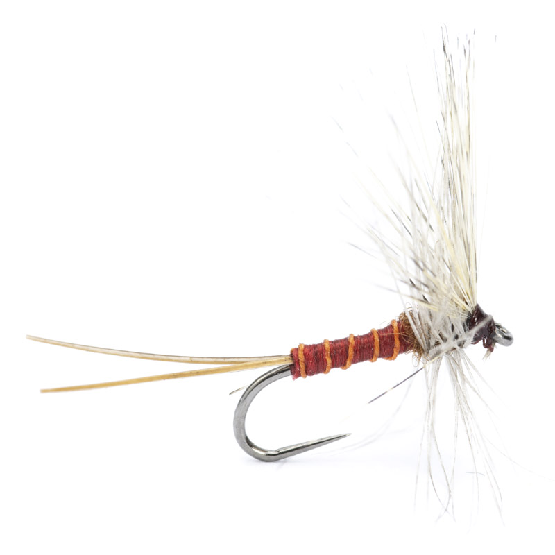 Luis Meana Fly PM14IB