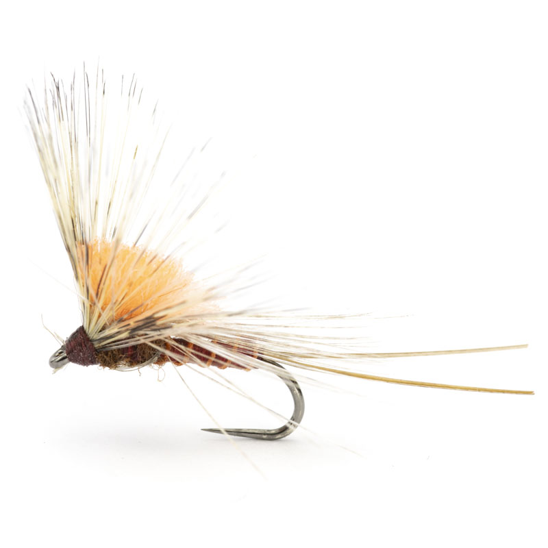 Luis Meana Fly PM14IBFL