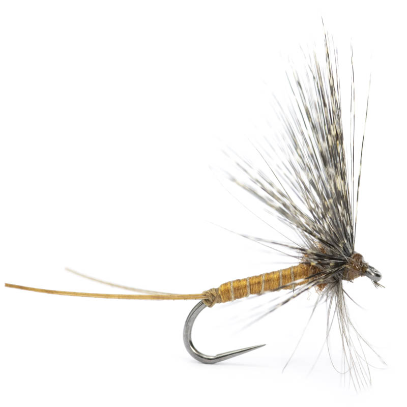 Luis Meana Fly PM14MR