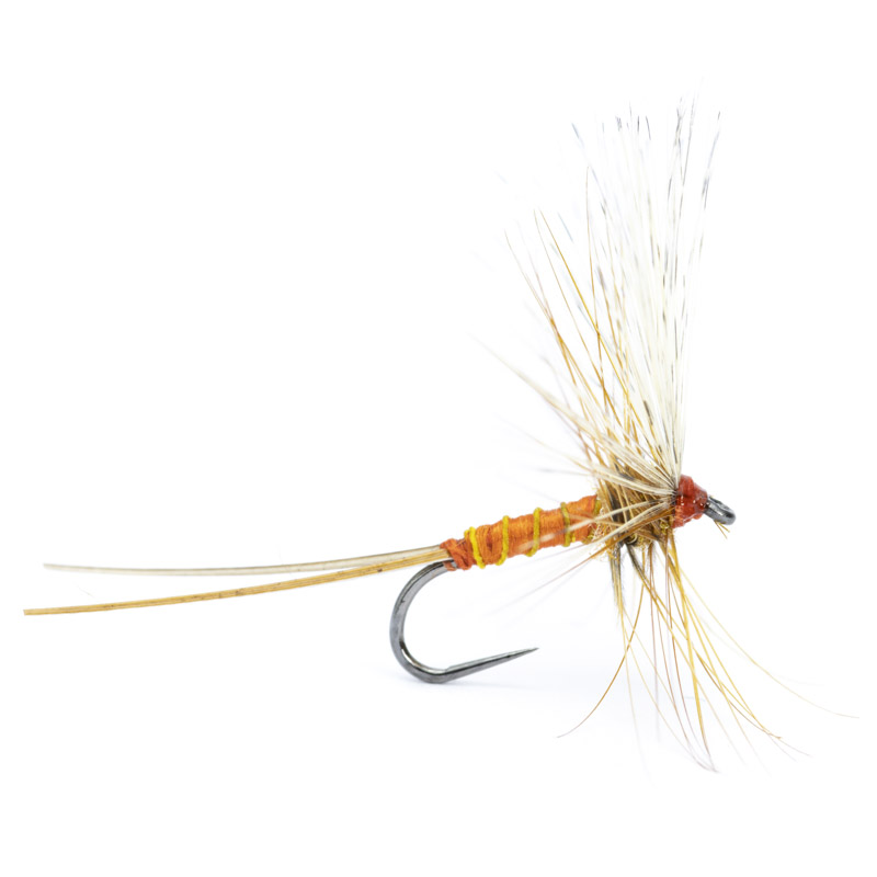 Luis Meana Fly PM14NA