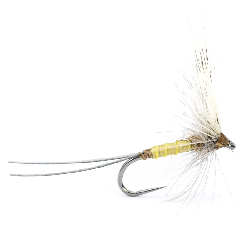 Luis Meana Fly PM14PA