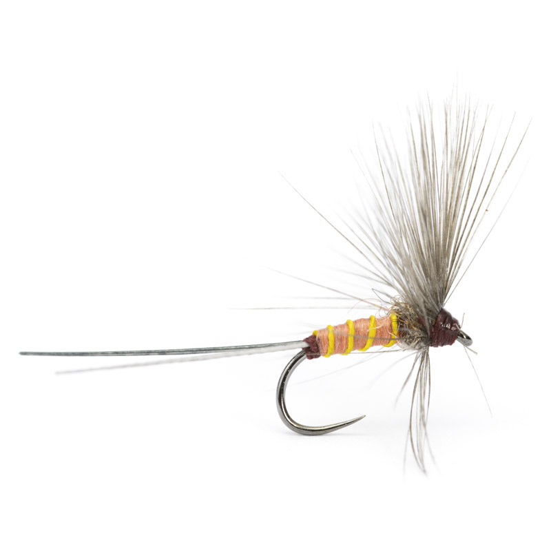 Luis Meana Fly PM16CH