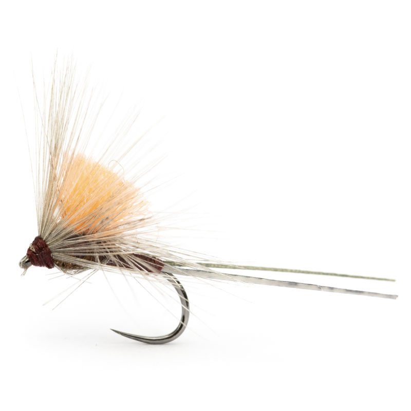 Luis Meana Fly PM16FXFL