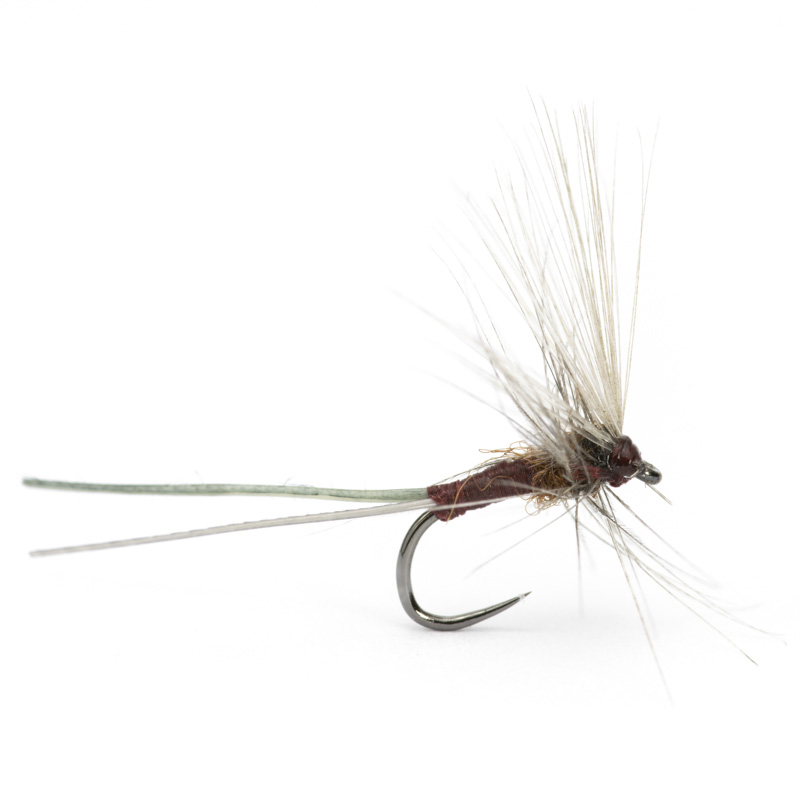 Luis Meana Fly PM18FX