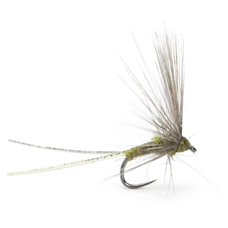 Luis Meana Fly PM18OL
