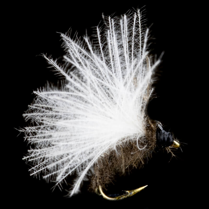 Petitjean Caddis Fly CDC Mini White Wing