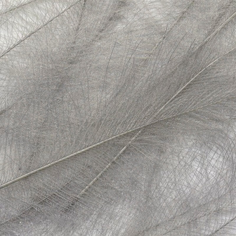 Petitjean CDC Feathers