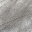 Petitjean CDC Feathers