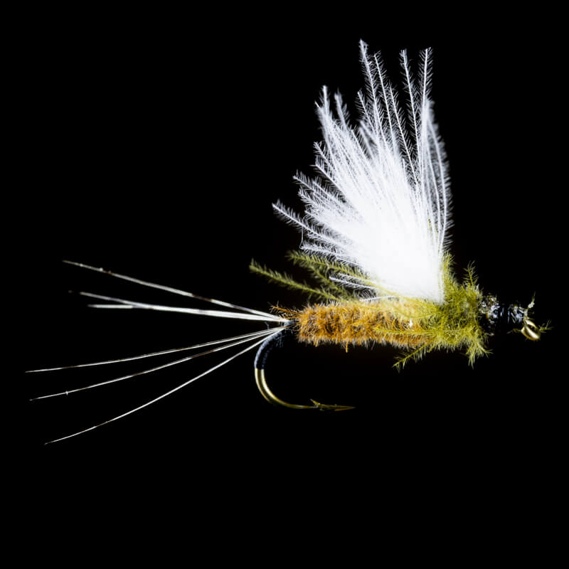 Petitjean May Fly CDC Dry Mono Wing