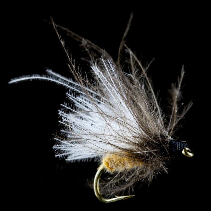 Petitjean Midge CDC Adult Cream/White