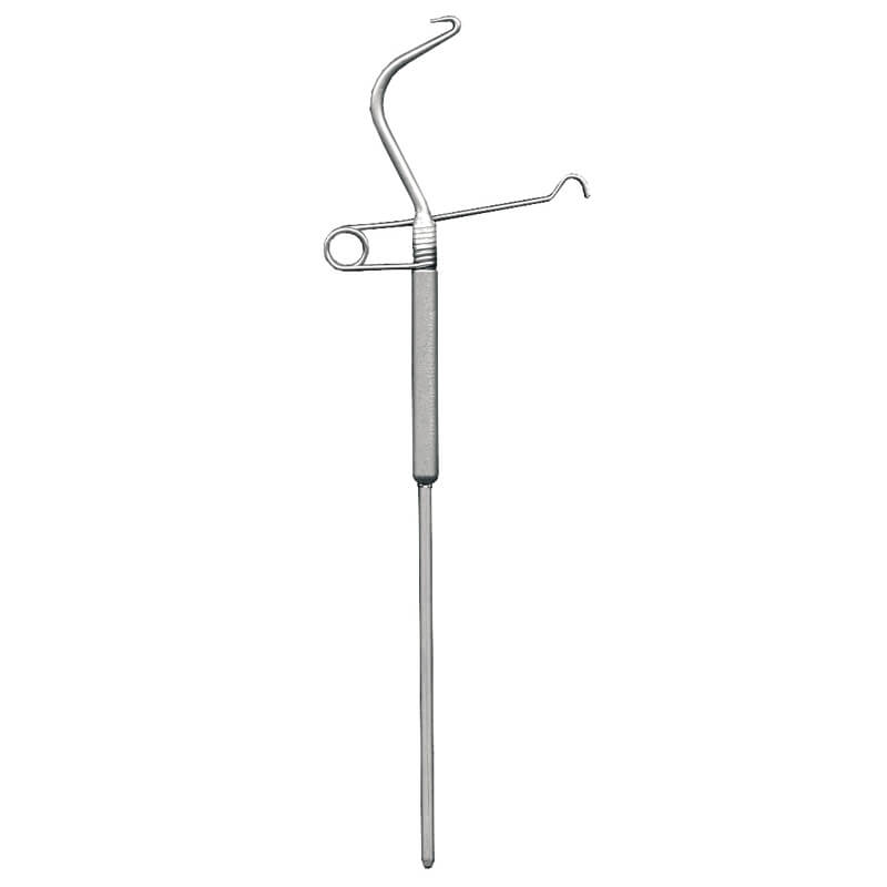 Petitjean Annodatore