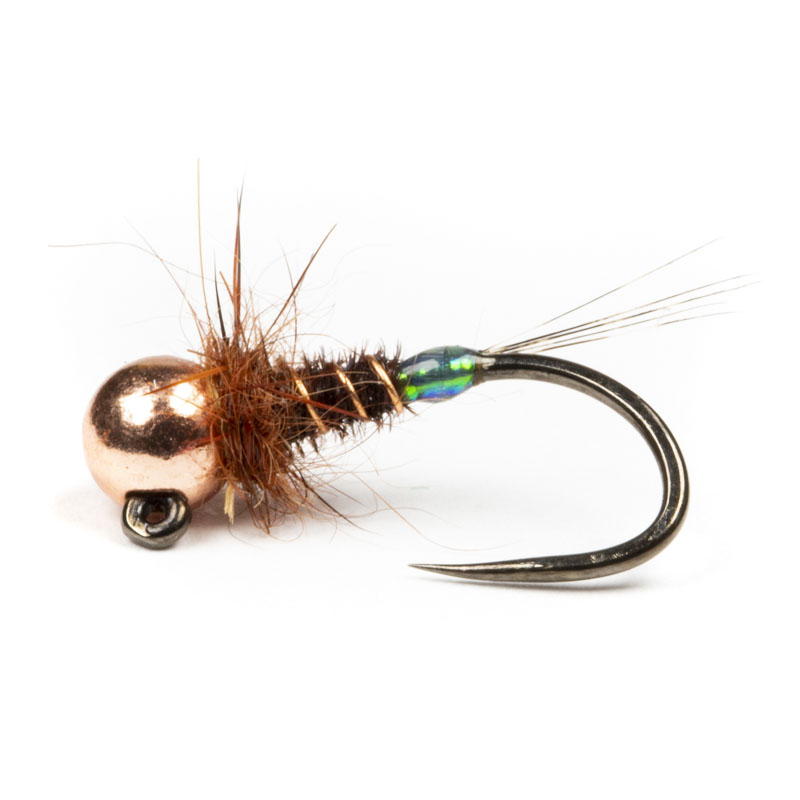 PT Dark Brown Nymph