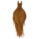 Root River Collo Barred Ginger