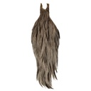 Root River Collo Blue Splash