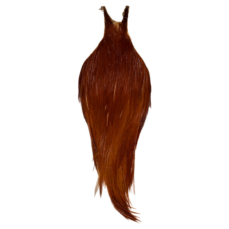 Root River Cape Brown