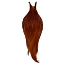 Root River Cape Brown