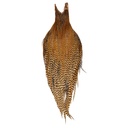 Root River Cape Cree