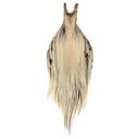 Root River Cape Silver Badger