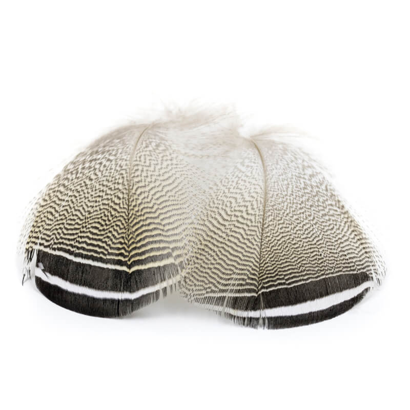 Wapsi Wood Duck Black and White