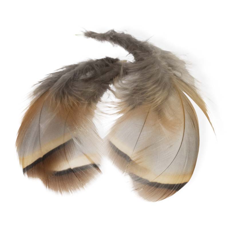 Veniard French Partridge Hackle