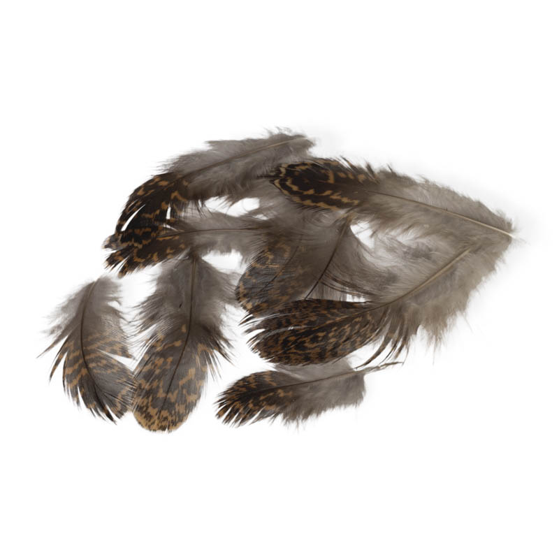 Veniard Grouse Body Plumage