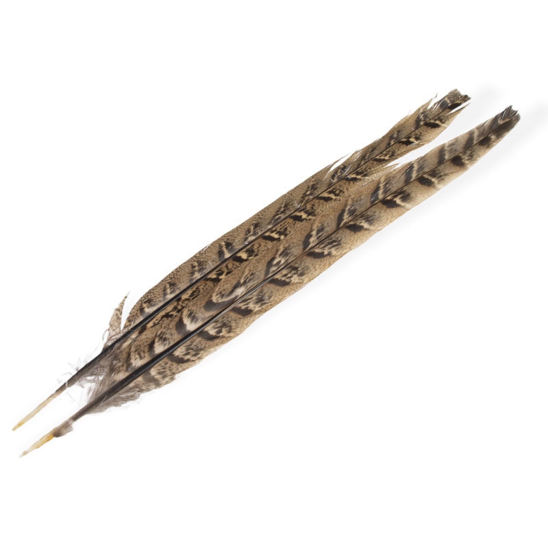 Veniard Hen Pheasant Center Tails