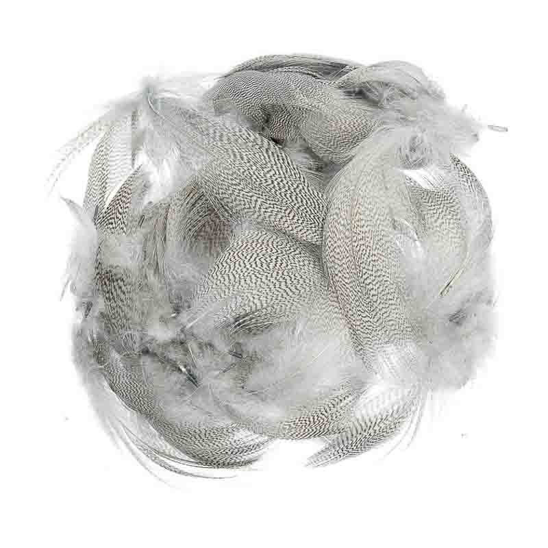 Veniard Mallard Flank