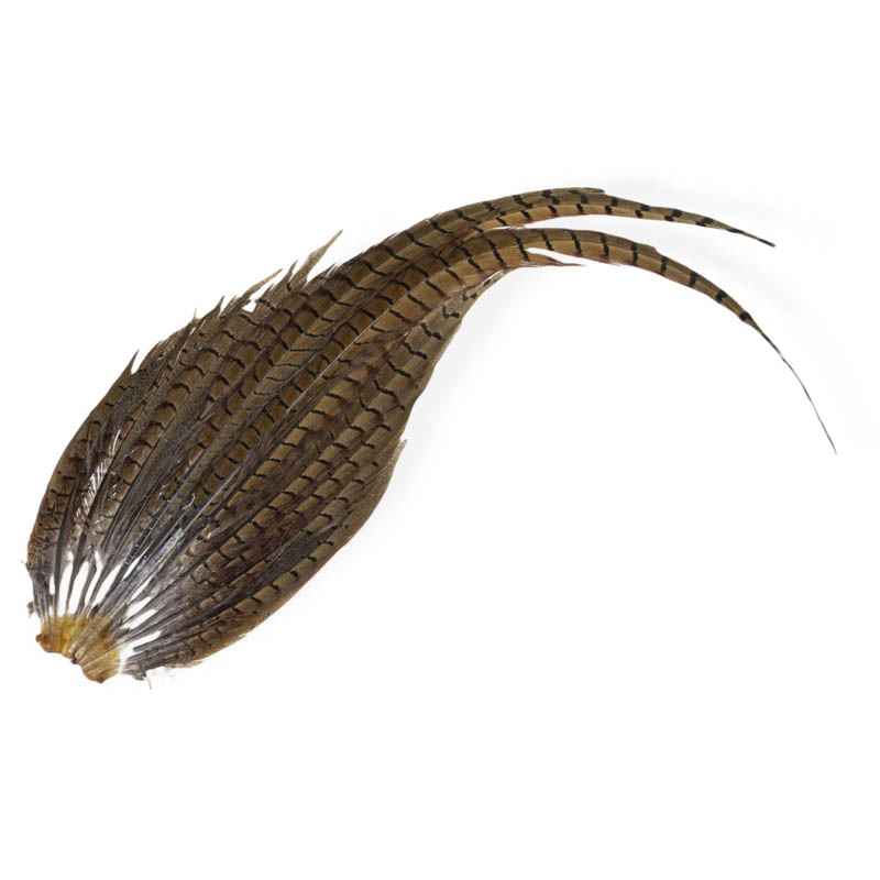 Veniard Pheasant Complete Tail