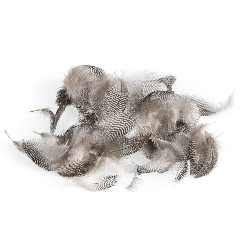 Veniard Teal Duck Flank