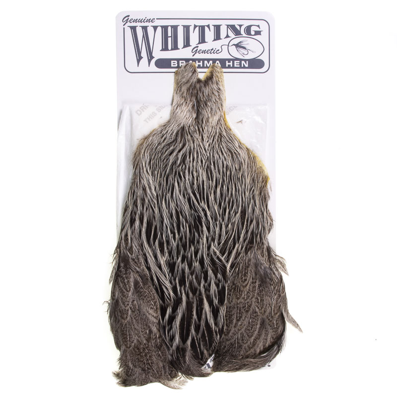 Whiting Brahma Hen Cape