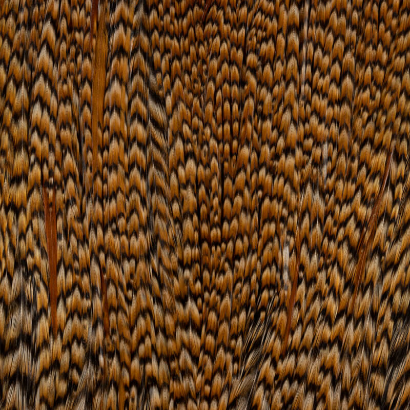 Root River Saddle Cree