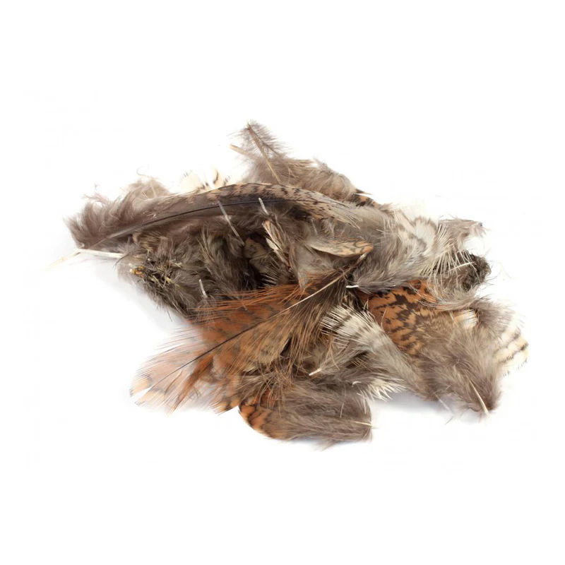 Veniard Woodcock Piume