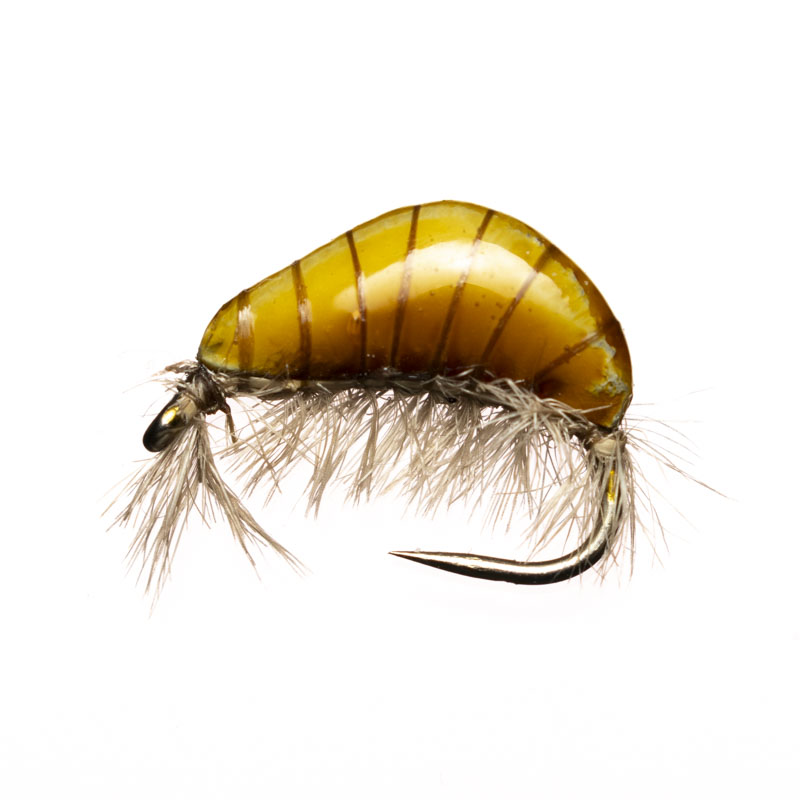 Jan Rozman Caramel Gammarus